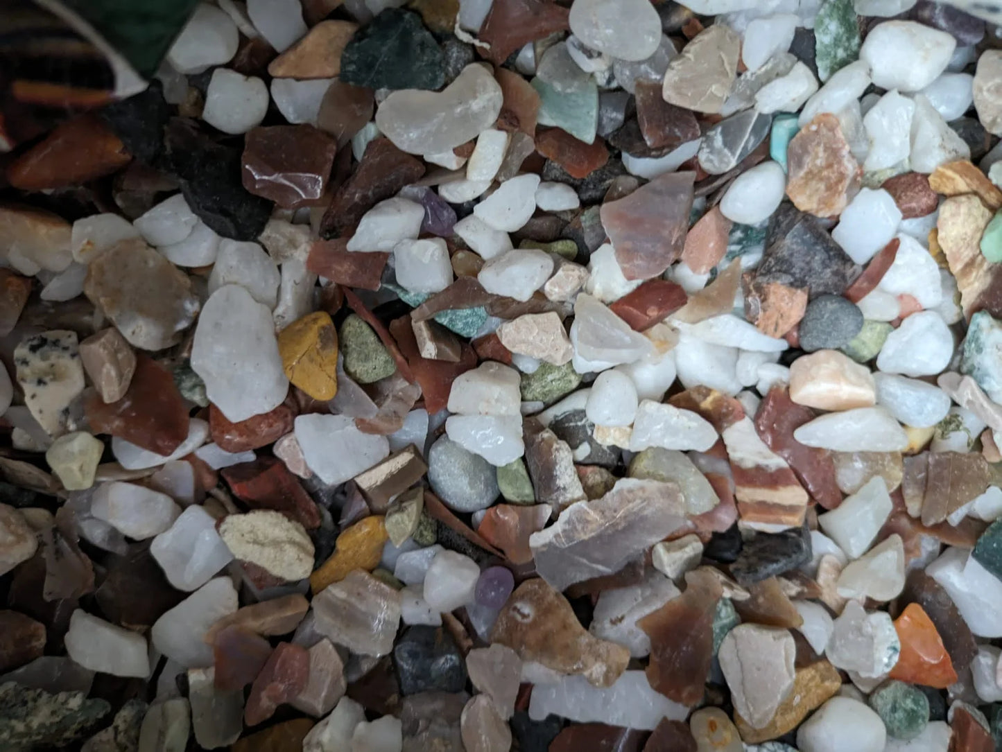 Small Rock Chip Grab Bags